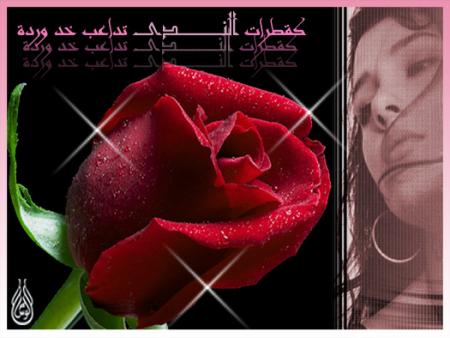 la rosa